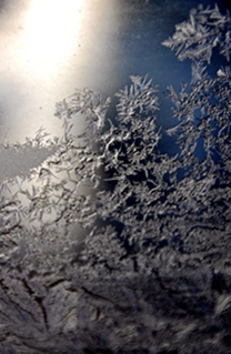 _DSC5760_.jpg