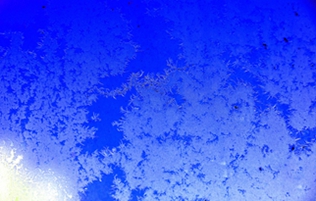 _DSC5788_.jpg