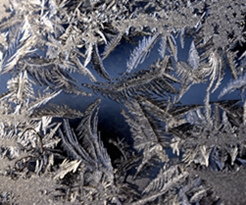 _DSC5866_.jpg
