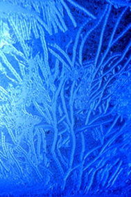 _DSC5875_.jpg