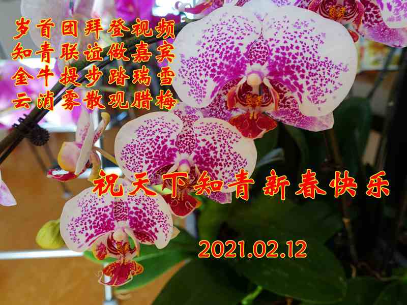 2021.02.12.JPG