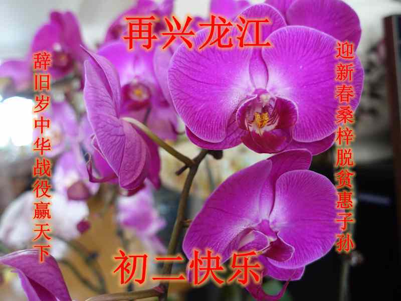 DSC04834.JPG
