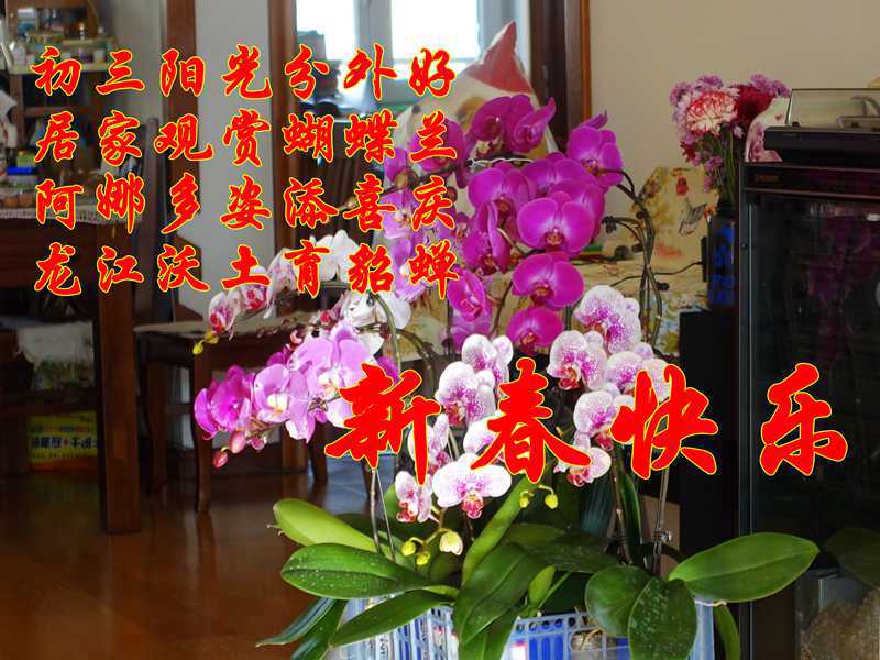 DSC04859.JPG