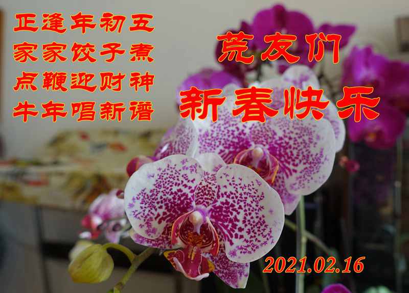 DSC04810.JPG