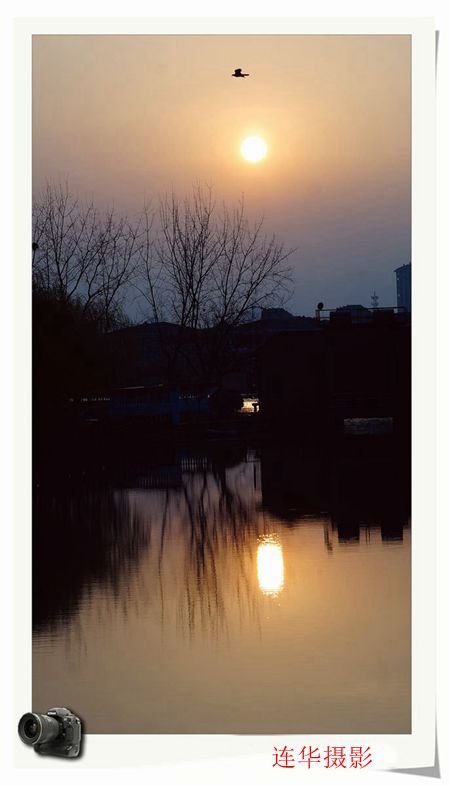 _DSC0711_.jpg