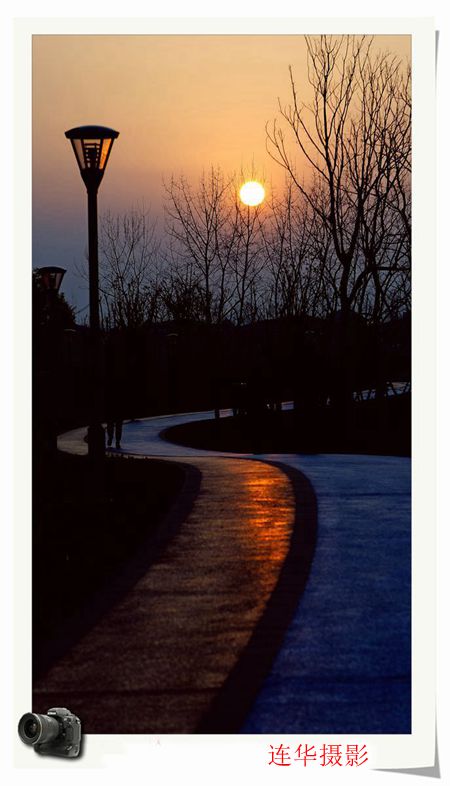 _DSC0720_.jpg
