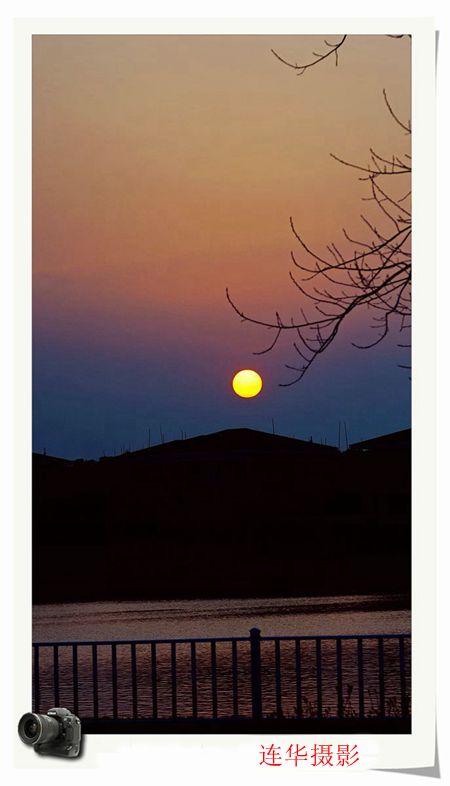 _DSC0731_.jpg