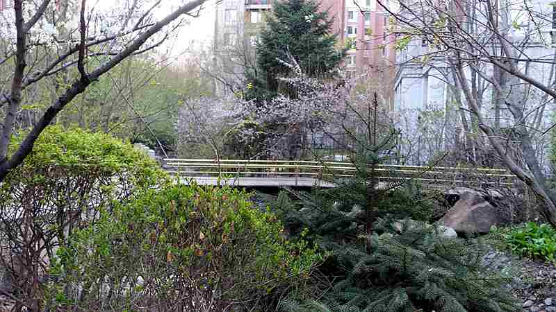 DSC06525.JPG