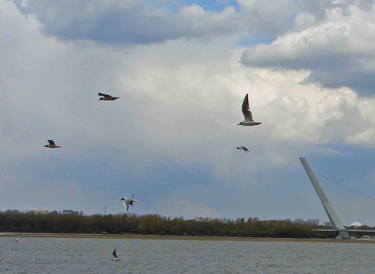 DSC01172-3.jpg