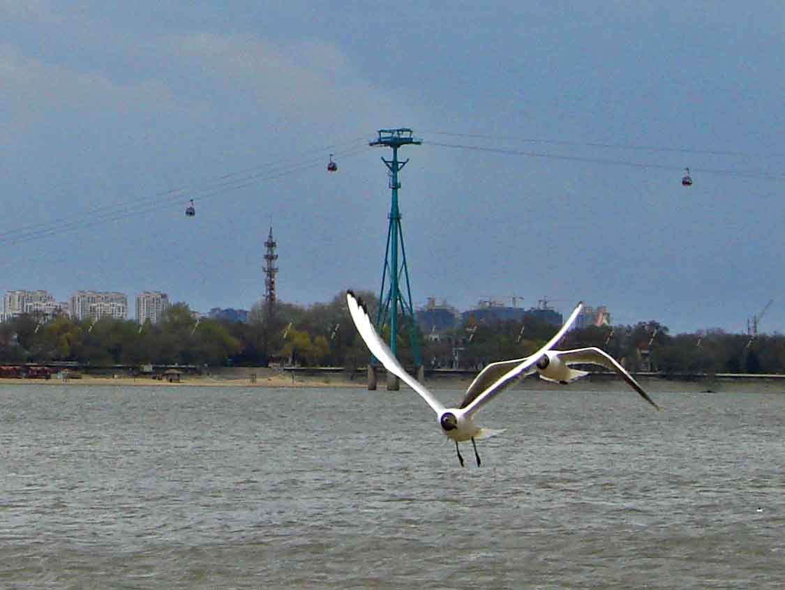 DSC01240-3.jpg