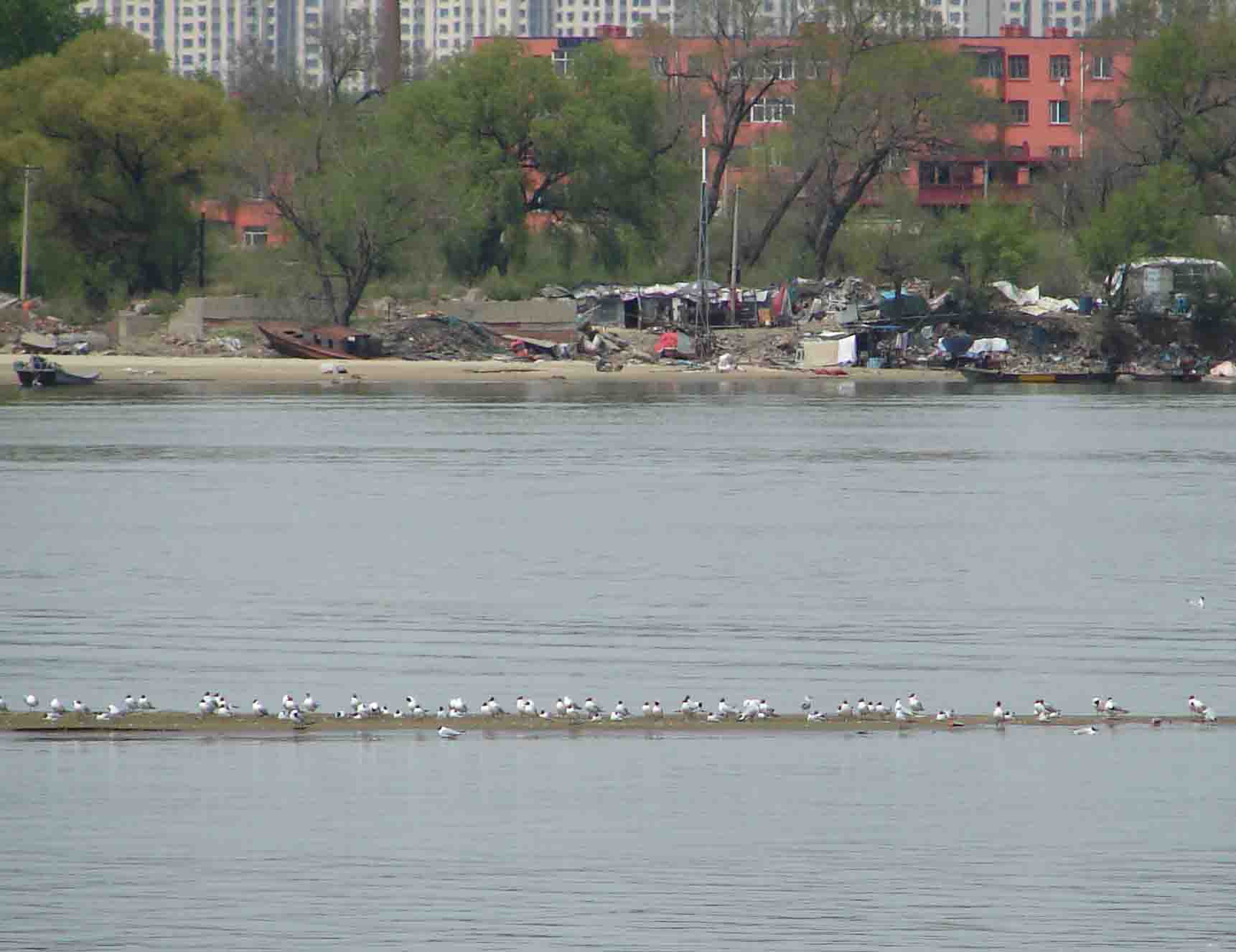 DSC02014-.jpg