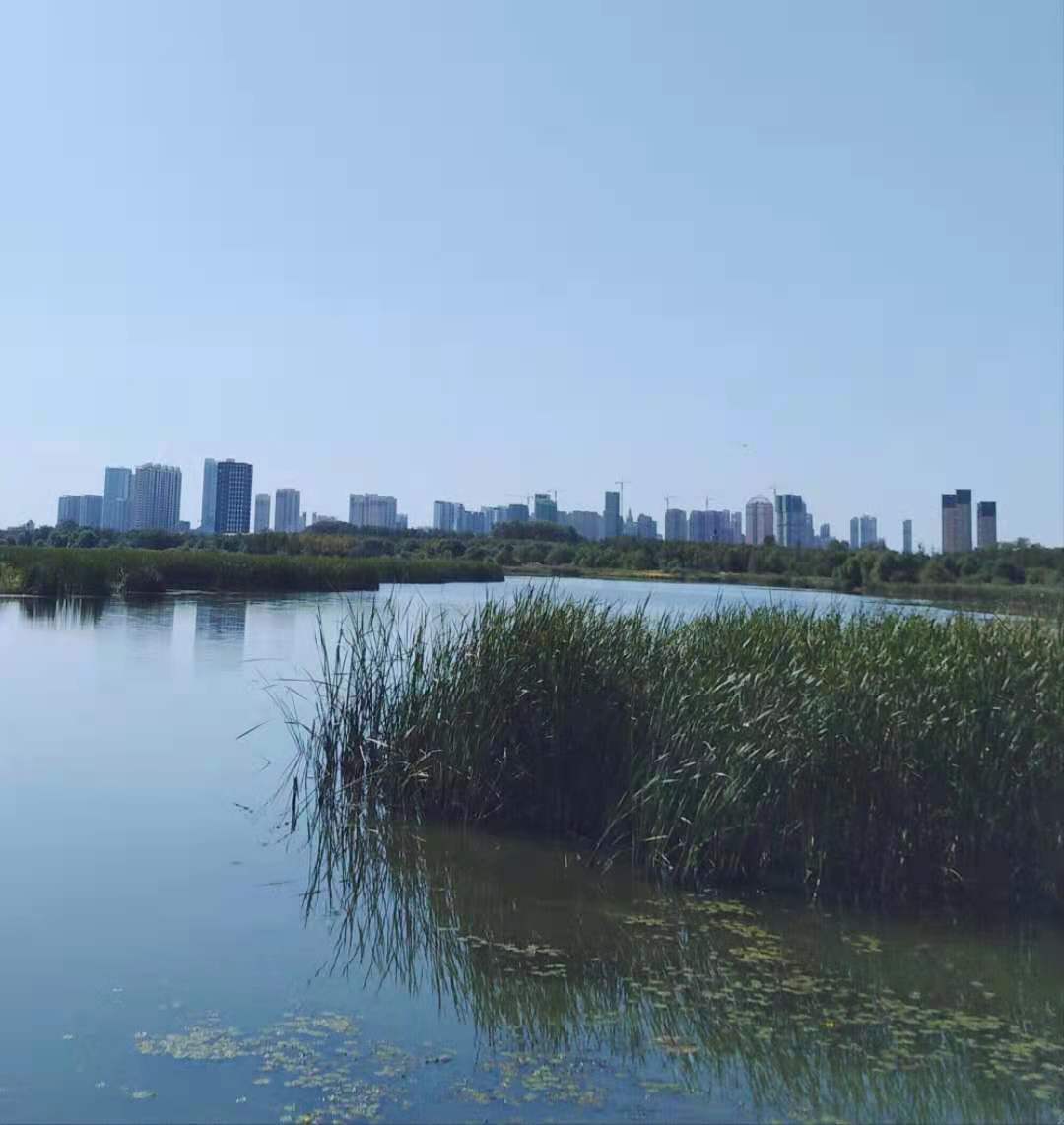246.jpg