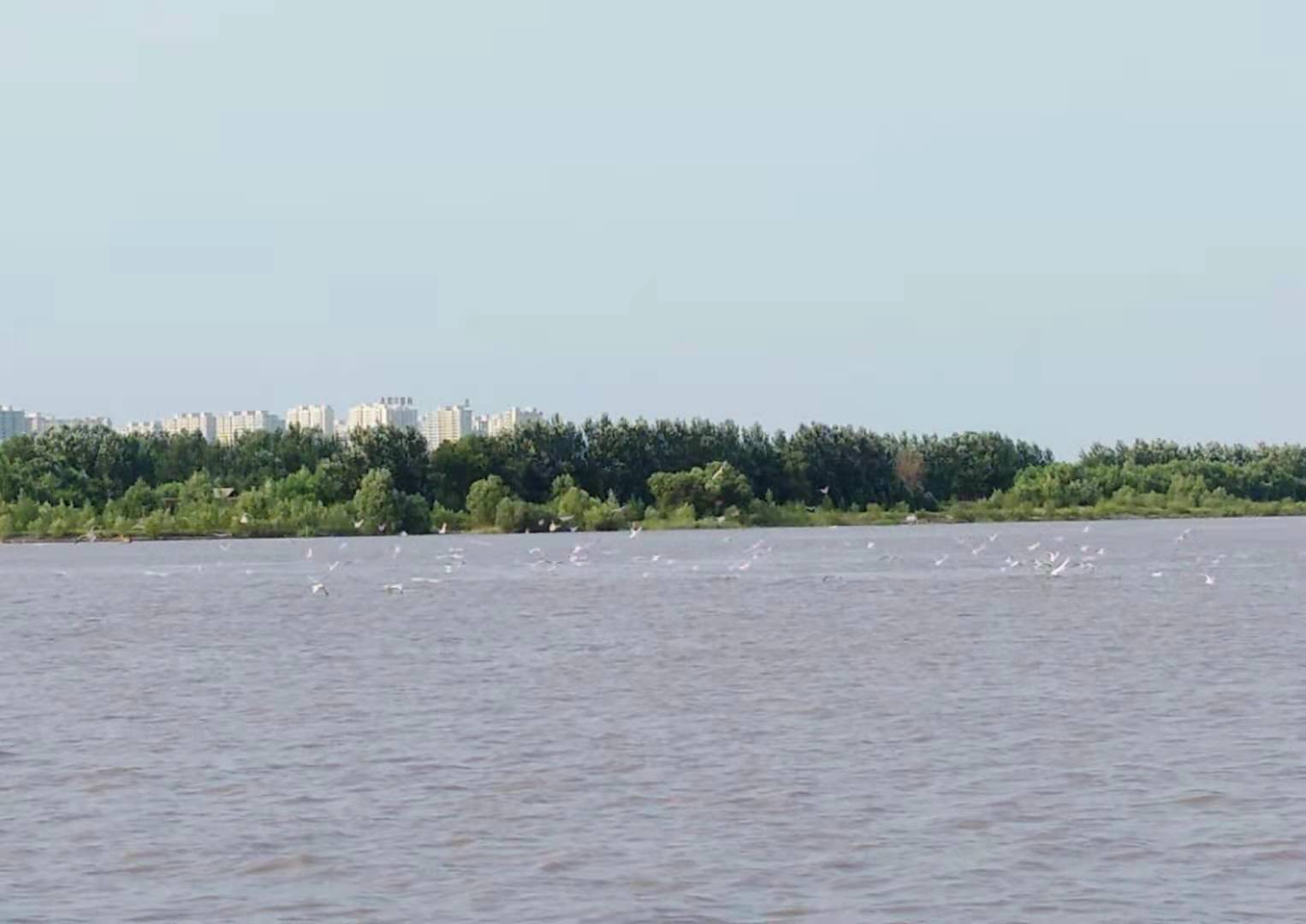 237.jpg