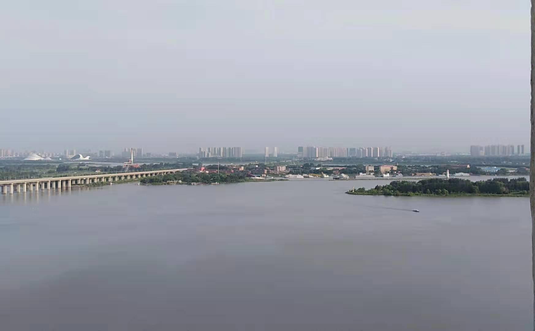 239.jpg