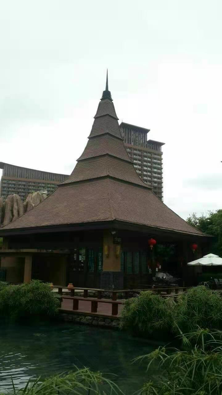 293.jpg