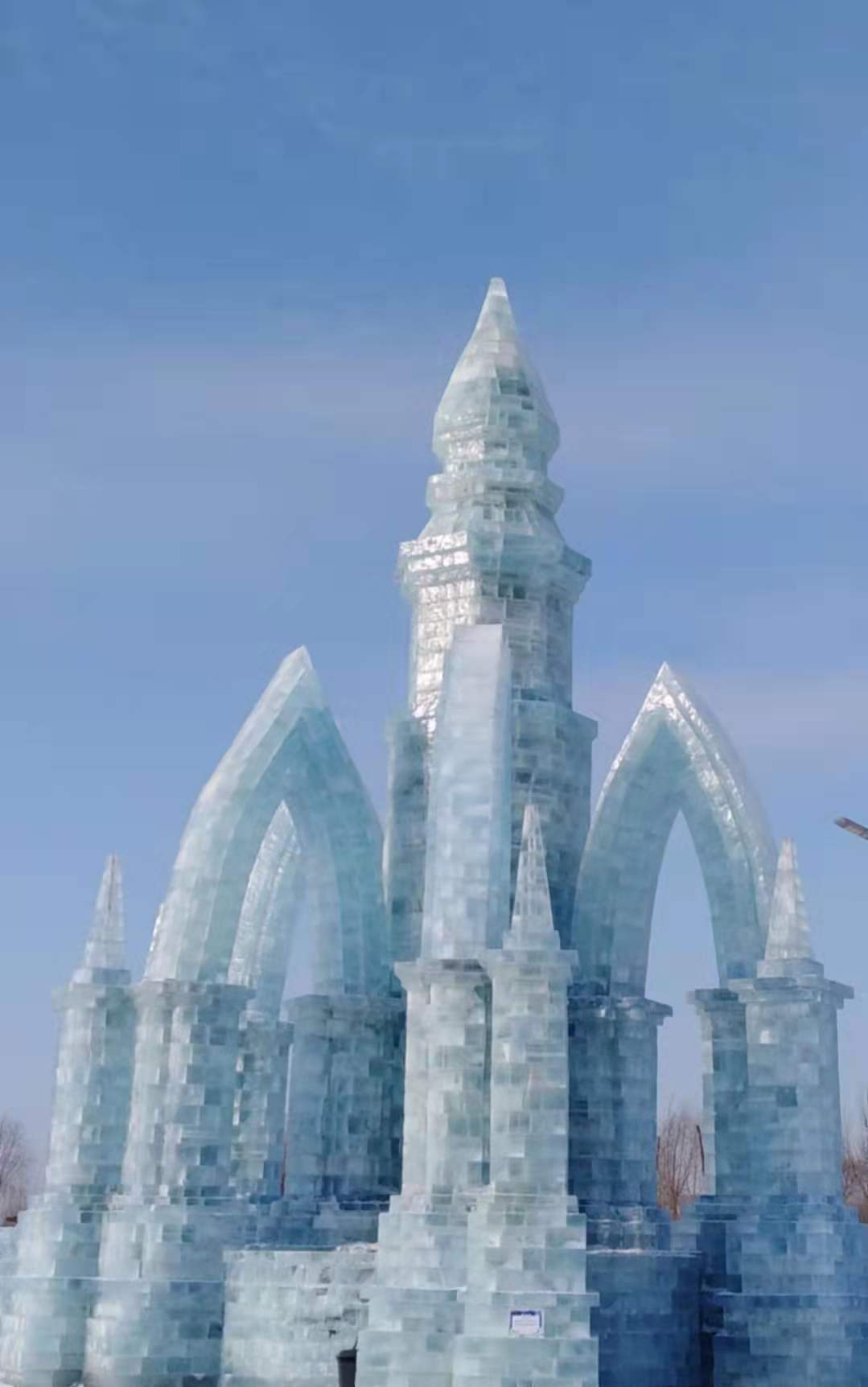 358.jpg