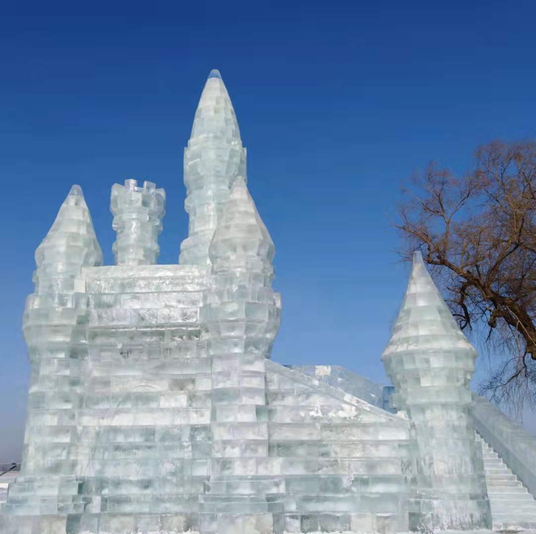 364.jpg