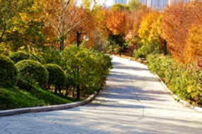 _DSC6555_.jpg