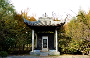 _DSC6564_.jpg