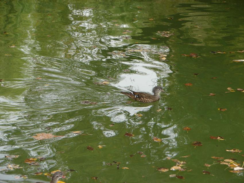 DSC04861.JPG