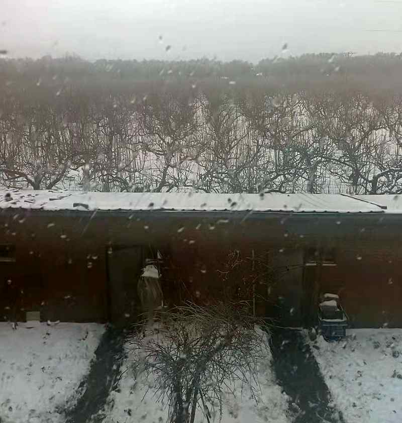 ΢ͼƬ_20211108114733.jpg