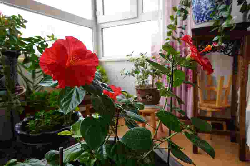 DSC04121.JPG