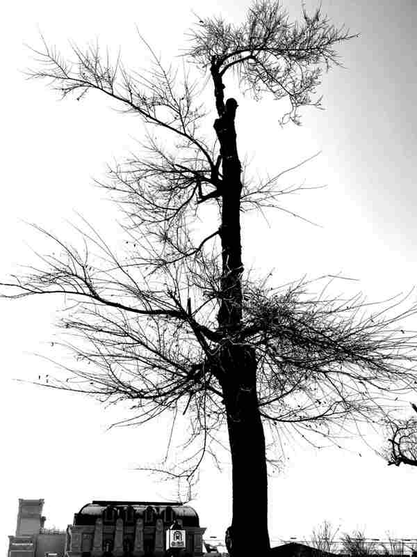 ΢ͼƬ_20211121112504.jpg