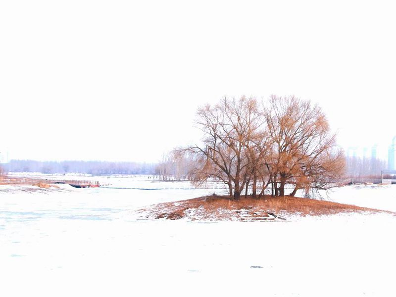΢ͼƬ_20211215164819.jpg
