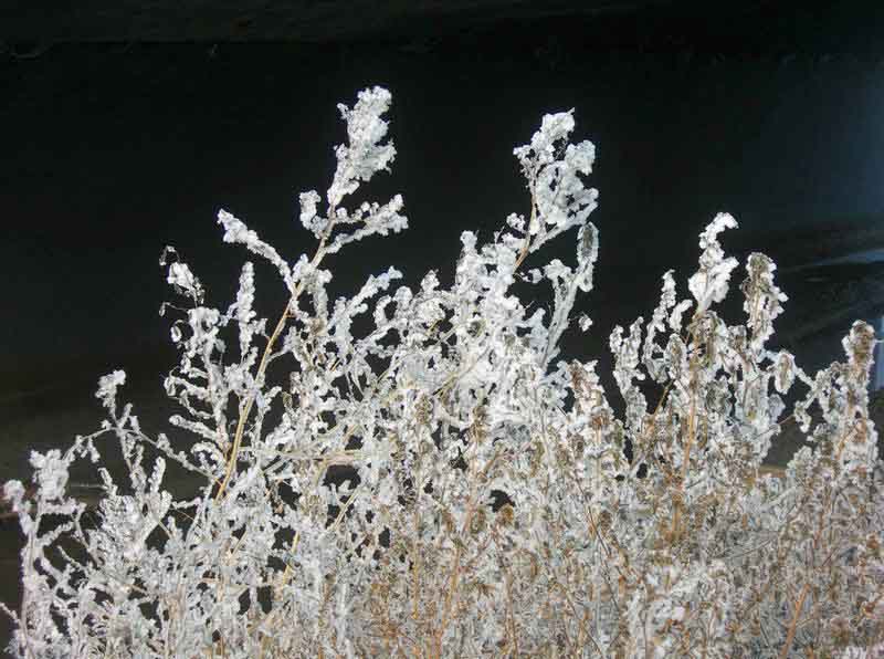 IMG_10-3ڡμҹ.jpg