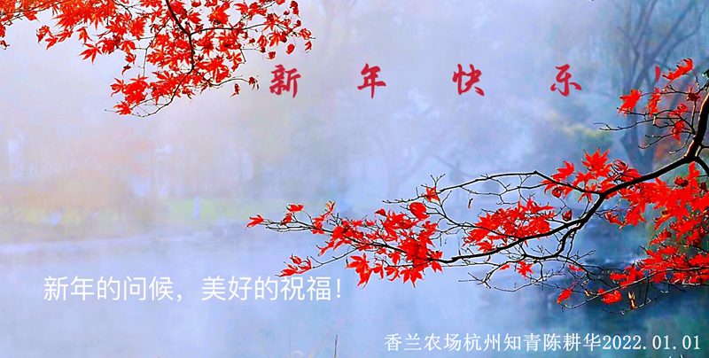 ΢ͼƬ_20220101101149.jpg