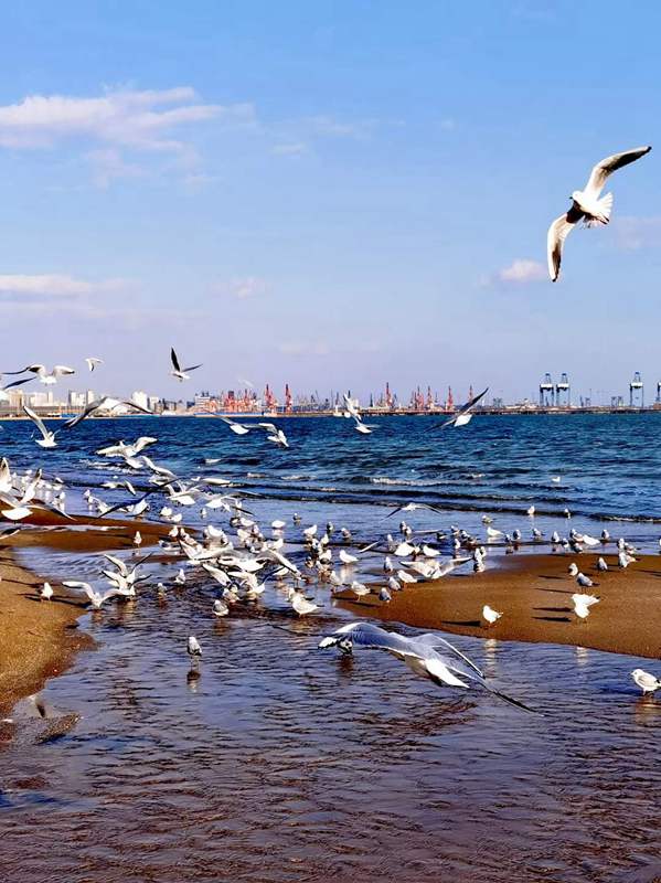ػʵ_20220110224335.jpg