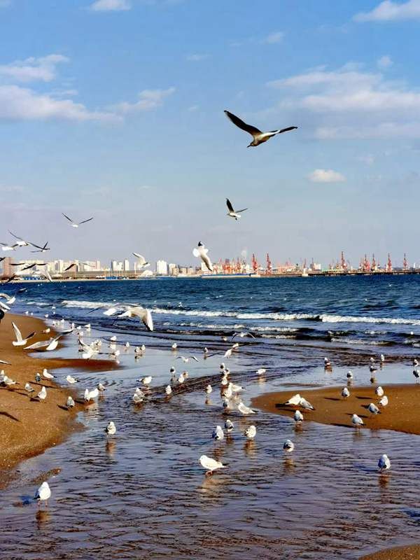ػʵ_20220110224410.jpg