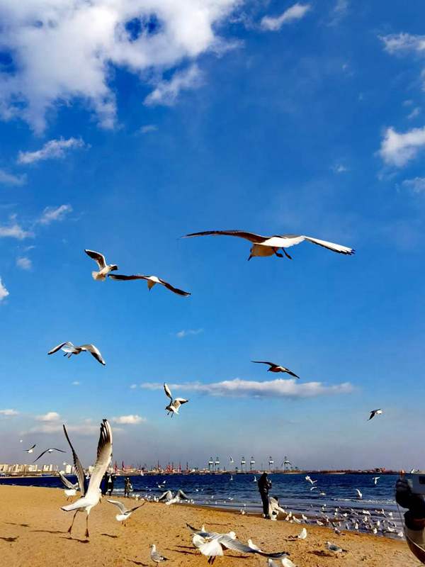 ػʵ_20220110224452.jpg