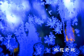 _DSC6883_.jpg