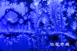 _DSC6877_.jpg