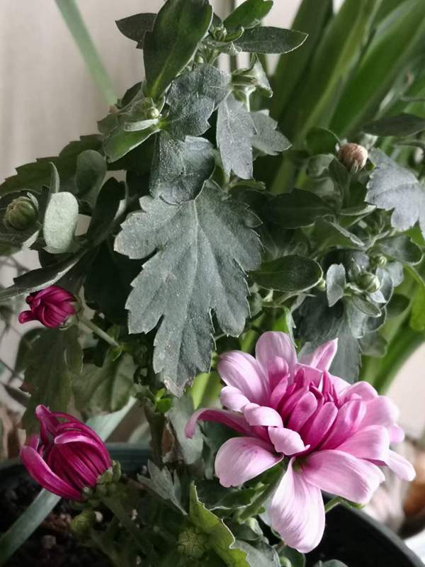 ΢ͼƬ_20220125120633.jpg