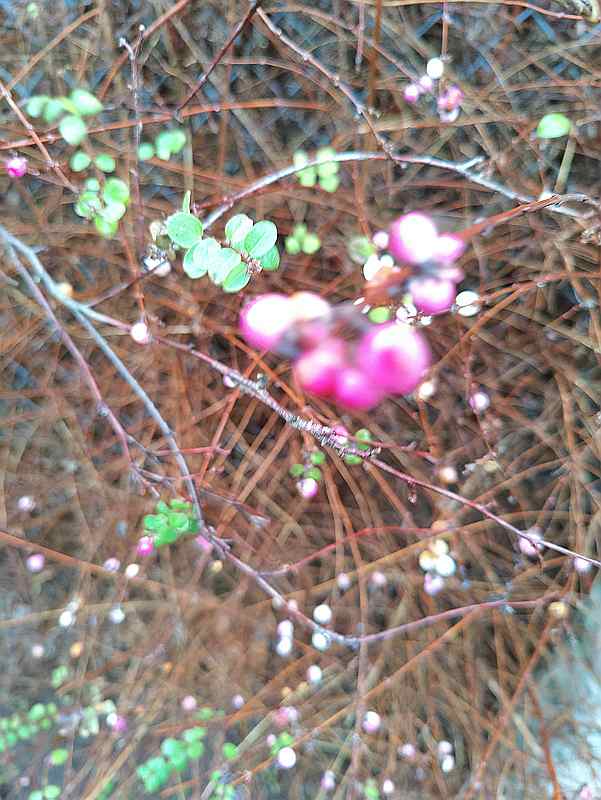 ΢ͼƬ_20220130100649.jpg
