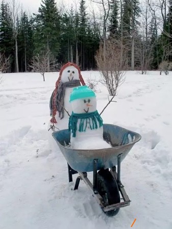 155.jpg