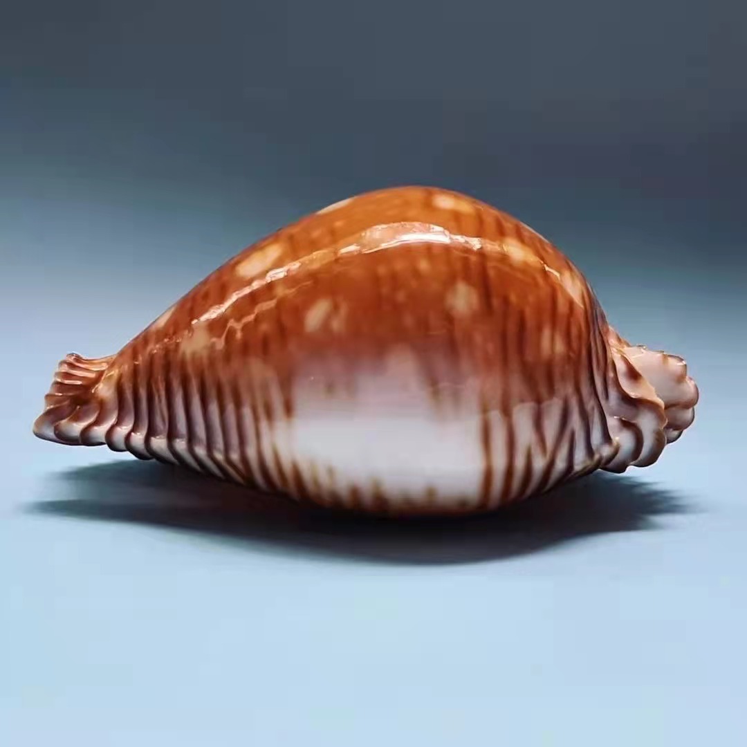 165.jpg