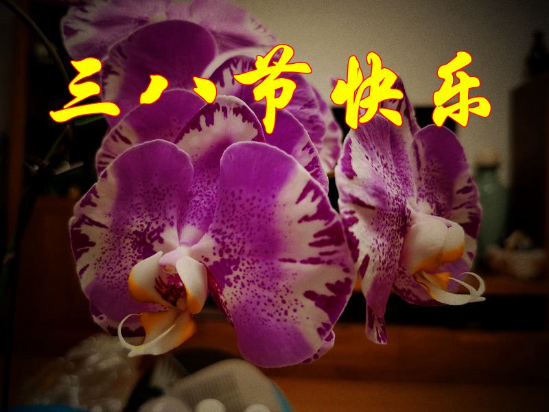 ΢ͼƬ_20220307183631.jpg