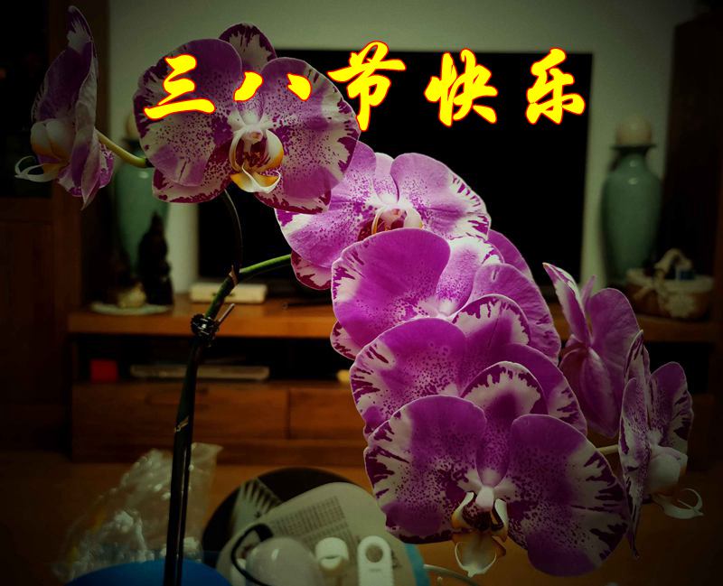 ΢ͼƬ_20220307183615.jpg
