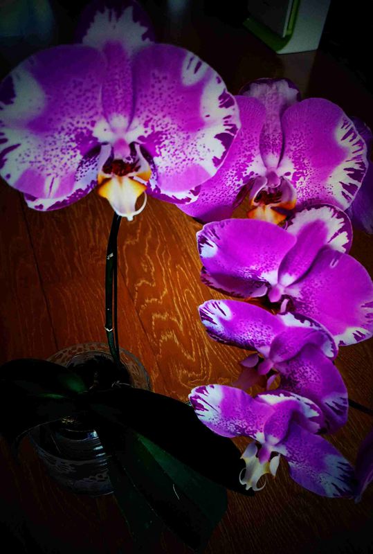 ΢ͼƬ_20220320130648.jpg