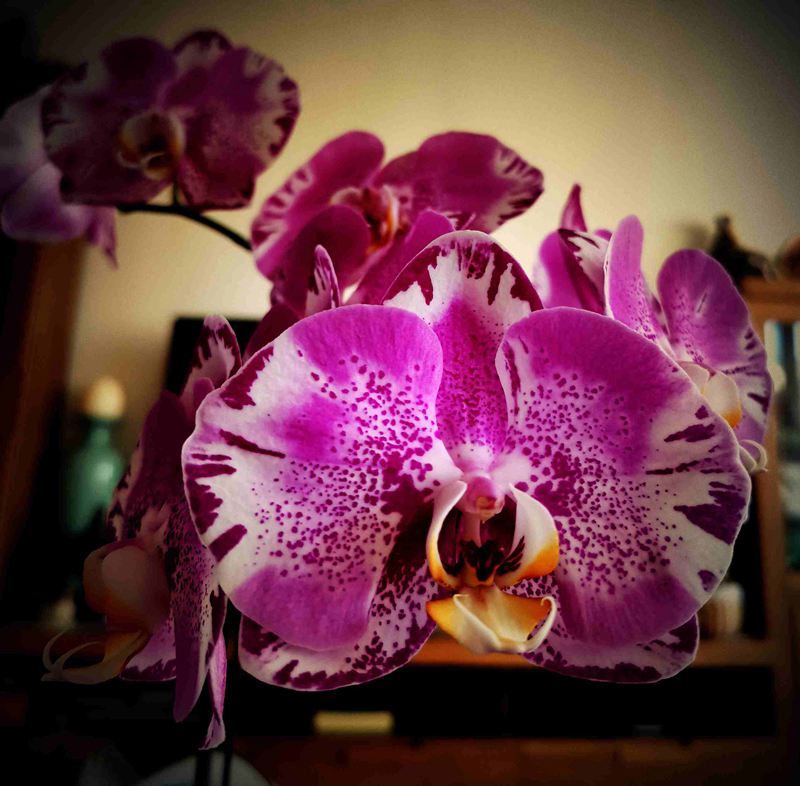 ΢ͼƬ_20220320130626.jpg