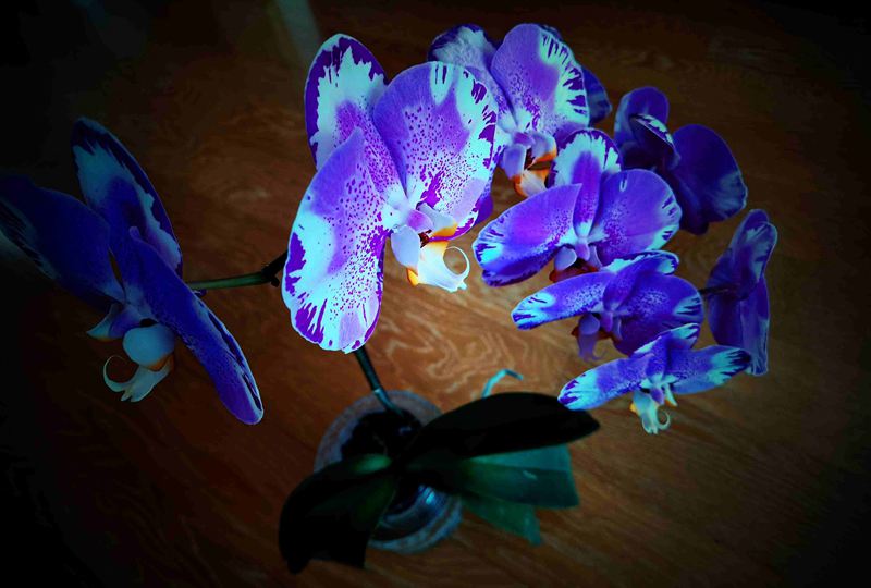 ΢ͼƬ_20220320130703.jpg