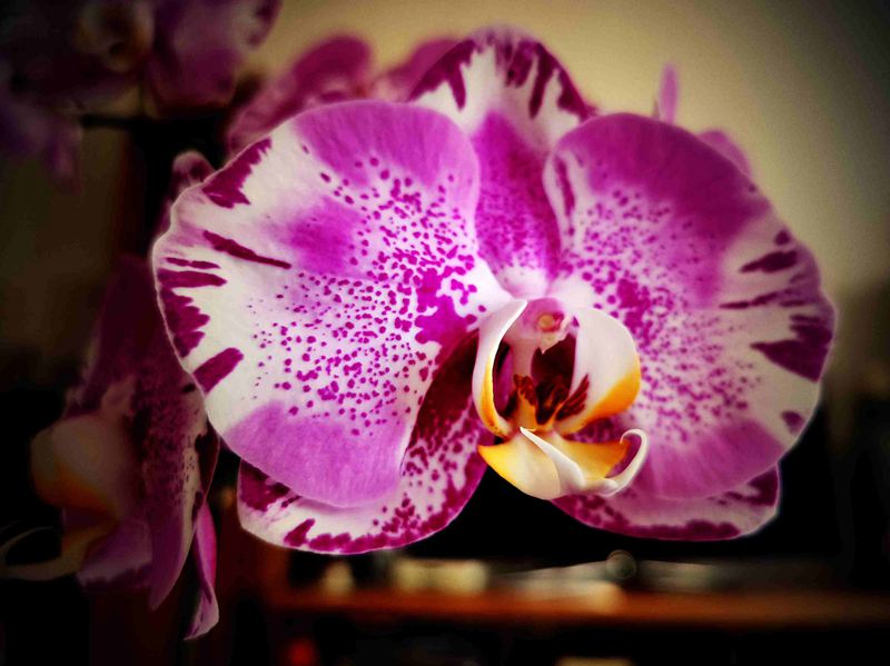΢ͼƬ_20220320130722.jpg