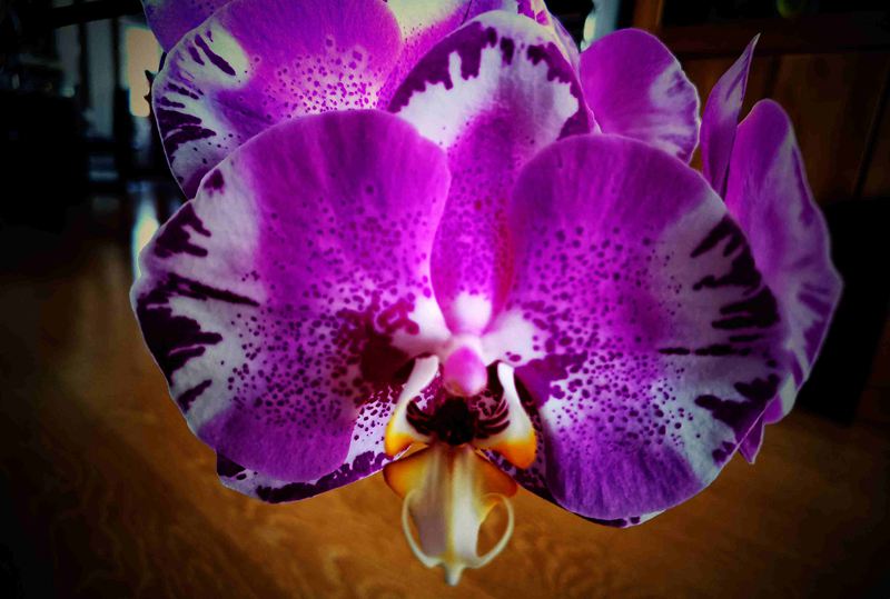 ΢ͼƬ_20220320130711.jpg