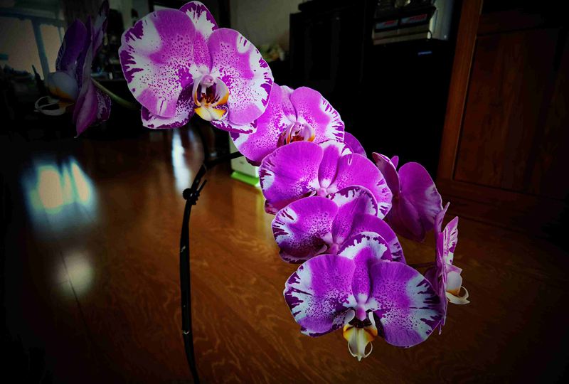 ΢ͼƬ_20220320130707.jpg