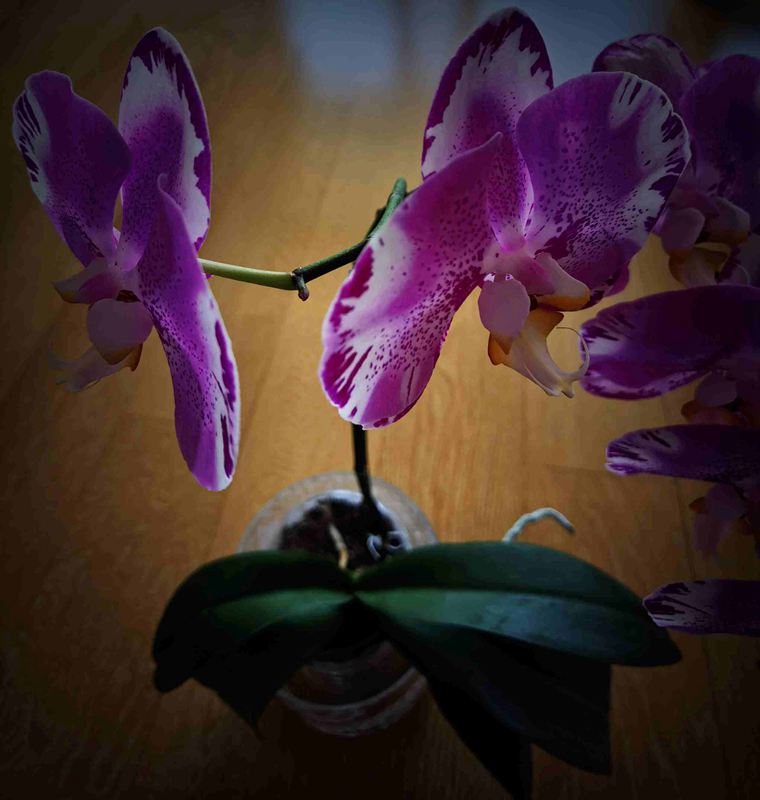΢ͼƬ_20220320130727.jpg