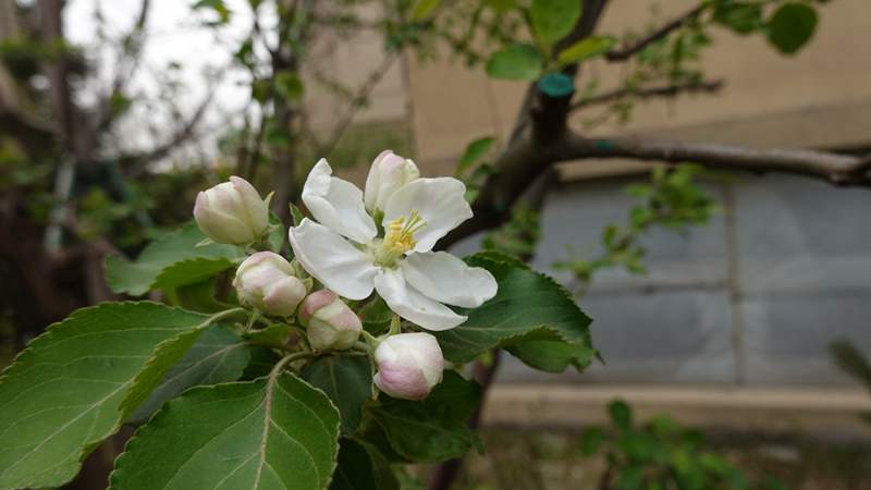 DSC06426.JPG