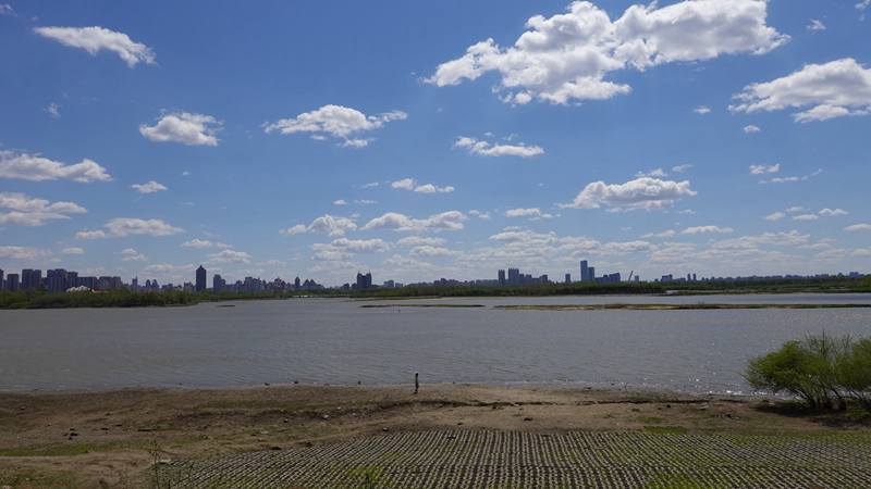 DSC06512.JPG